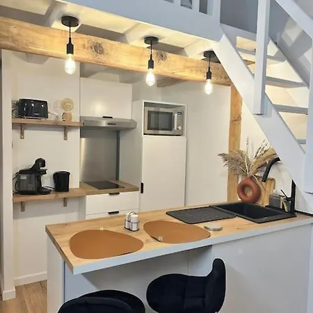 Duplex Lumineux Apartment Nantes Exterior photo