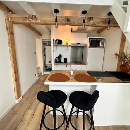Duplex Lumineux Apartment Nantes Exterior photo