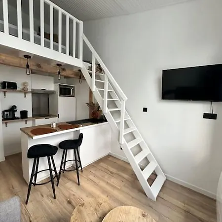 Duplex Lumineux Apartment Nantes Exterior photo
