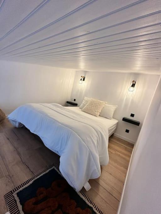 Duplex Lumineux Apartment Nantes